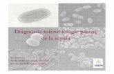 Diagnòstic microbiològic precoç de la sèpsia · GeneXpert (~ 2h) MALDI (20 min) Hemocultiu positiu Extracció DNA ~15h ~40h-48~22h ~60-72 h Vitek 2 Compact ~6h ~24h ~24h IDENTIFICACIÓ!!