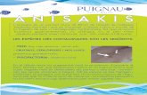 ANISAKIS - peixospuignau.com · L'anisakis és un paràsit d'uns 20-30mm de l'intestí de múltiples espècies marines i que es transmet a l'ésser humà a través de la ingesta de