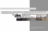 Estudio de seguridad y salud en un proyecto de ...dspace.umh.es/bitstream/11000/2206/1/TFM Carrión Ruiz, José Miguel.pdf · • Describir el proyecto de pavimentación, definir