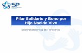Pilar Solidario y Bono por Hijo Nacido Vivo filePilar Solidario, el cual entrega pensiones a las personas de menores ingresos que no cuentan con estos recursos, a través de la pensión