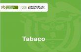 Presentación de PowerPoint - sioc.minagricultura.gov.co Cifras... · El tabaco flue-cured se seca en una edificación cerrada en la que se distribuye el Guajira, Huila calor generado