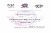 Universidad Nacional Autónoma de México Facultad de ...embriologia.facmed.unam.mx/.../2019/07/Fundamentosdeciclocelular.pdf · Uno de los procesos fundamentales durante el desarrollo