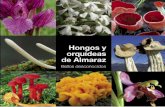 Fotomecánica e impresión - flora.biologiasur.orgflora.biologiasur.org/.../Hongos_y_orquideas_de_Almaraz.pdf · en todo momento estuve presente, pero nadie deparó en mi existencia,