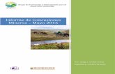 Informe de Concesiones Mineras Mayo 2016 - Grufides de... · de estas concesiones mineras son diversas, que va desde la variación de los precios en los metales, situación política