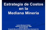 Estrategia de Costos en la Mediana Minería - sonami.cl · Contabilidad y Finanzas Compartida Administración de Recursos Humanos Compartido Administración de la Propiedad Minera