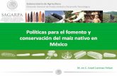 Políticas para el fomento y conservación del maíz nativo ... · Cactus Guayaba Papaya Verdolaga Calabaza Hymenocalis Pata de Elefante Yuca Camote Jatropha Pitahaya y Pitaya Zapote