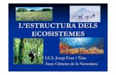 L'estructura dels ecosistemesfiles.ciencia-amb-ulleres.webnode.cat/200000341-e1810e27cc/L... · Desert Fred Alta Muntanya Tundra Taig à ZONA CLIM ÀTICA TEMPERADA Estepa Bosc caducifoli