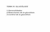 TEMA IV. GLUCÓLISIS 1.Generalidades 2.Reacciones de la ...depa.fquim.unam.mx/amyd/archivero/Glucolisis_35279.pdf · La hexocinasa cataliza la transferencia de un grupo fosforilo