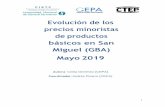 Evolución de los precios minoristas de productos básicos ...©simo-tercero... · 2 Informe Número 23: Precios de San Miguel, Provincia de Buenos Aires, 2019 Mayo La evolución