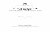 ENTRE EL ARROZAL Y EL LABORATORIO - bdigital.unal.edu.cobdigital.unal.edu.co/44818/1/79972526.2013.pdf · encuentran operaciones de irradiación radioactiva a material biológico,