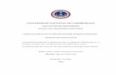 UNIVERSIDAD NACIONAL DE CHIMBORAZO - …dspace.unach.edu.ec/bitstream/51000/457/1/UNACH-EC-IINDUST-2015-0006.pdf · III PÁGINA DE REVISIÓN Los miembros del Tribunal de Graduación
