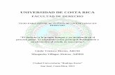UNIVERSIDAD DE COSTA RICA - iij.ucr.ac.criij.ucr.ac.cr/wp-content/uploads/bsk-pdf-manager/2017/08/TRABAJO-FINAL...¢ 