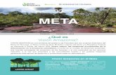META - visionamazonia.minambiente.gov.covisionamazonia.minambiente.gov.co/content/uploads/2018/11/META.pdf · Puerto Rico y La Macarena. Fortalecimiento en conocimiento y capacidades