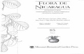 vcru.wisc.edu Flora Nicaragua.pdf · 368 ASTERACEAE — FLORA DE NICARAGUA radio lineares y Ios aquenios del disco lateralmente aplanados, obovados y oblongos son caracteres diagnós-