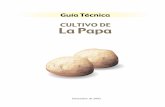 CULTIVO DE La Papa - aprendatodoaqui.com · 8 La papa, Solanum tuberosum, es el cuarto cultivo sembrado en más de 100 países y es el alimento básico de los países desarrollados