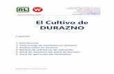 El Cultivo de Durazno - westanalitica.com.mxwestanalitica.com.mx/wp-content/uploads/2018/05/El-Cultivo-de-DURAZNO.pdf · 1 West Analítica y Servicios S.A. de C.V. El Cultivo de DURAZNO