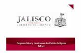 Programa Salud y Nutrición de los Pueblos Indígenas Jalisco · El Programa de Salud y Nutrición de los Pueblos Indígenas está basado en las prioridades del Plan Nacional para