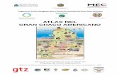 ATLAS DEL GRAN CHACO AMERICANO - bivica.org · 1 Atlas del Gran Chaco Americano Cooperación Técnica Alemana – GTZ Proyecto: Manejo Sostenible de los Recursos Naturales en el Chaco