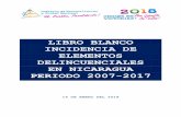 LIBRO BLANCO INCIDENCIA DE ELEMENTOS DELINCUENCIALES … · la familia y la comunidad nicaragüense, los bienes, la democracia directa, participativa y representativa, fundada en