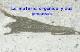 La materia orgánica y sus procesosusuarios.geofisica.unam.mx/gvazquez/geoquimpetrolFI/zonadesplegar... · origen al petróleo La materia orgánica: es material compuesto por moléculas