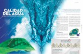 Investigación - Horizonte A Digitalhorizonteadigital.com/investigacion/ha55/calidad del agua.pdf · lidos precipitan, tal como ilustra la foto-grafía. El gráfico de la derecha