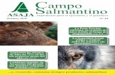 Campo Salmantino - asajacyl.com · incluir en la rotación el cultivo de leguminosas, proteaginosas y/o crucíferas en una superﬁ cie equivalente a la del contrato a lo largo del