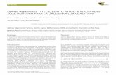 Ophrys algarvensis TYTECA, BENITO AYUSO & WALRAVENS 2003 ...sociedadgaditanahistorianatural.com/wp-content/uploads/2017/02/04... · Grazalema por facilitar en todo momento el estudio