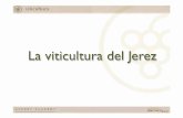 La viticultura del Jerez - sherry.wine · concentrándose la producción –entre 7 y 8 yemas– en uno solo de ellos (la vara), de forma alternativa. La otra parte descansa (pulgar)