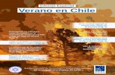 Informe Especial Verano en Chile - blog.meteochile.gob.clblog.meteochile.gob.cl/wp-content/uploads/2017/12/Informe_Verano.pdf · Informe Especial La temporada de incendios forestales