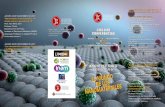 EL MUNDO TERIALESOS - uv.es · ciencia y tecnología para el diseño de nuevas aplicaciones en nanomedicina y biotecnología, como el diagnóstico y terapia de enferme-dades, drug