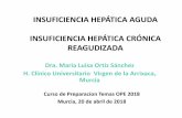 INSUFICIENCIA HEPÁTICA AGUDA INSUFICIENCIA HEPÁTICA ... · INSUFICIENCIA HEPÁTICA AGUDA INSUFICIENCIA HEPÁTICA CRÓNICA REAGUDIZADA Dra. Maria Luisa Ortiz Sánchez H. Clínico