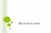 Introducción al metabolismo - amayabio.files.wordpress.com · Ejemplo: síntesis de proteínas, ácidos nucleicos, fotosíntesis etc. Ejemplos: glucolisis, ciclo de Krebs, etc. INTRODUCCIÓN