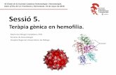 Presentación de PowerPoint - academia.cat · María Eva Mingot Castellano, PhD. Servicio de Hematología. Hospital Regional Universitario de Málaga. 43 Diada de la Societat Catalana