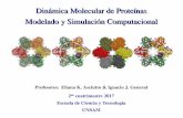 Dinámica Molecular de Proteínas Modelado y Simulación ... · 3 ¿Qué es la Dinámica Molecular (DM)? Dinámica Molecular – UNSAM – 2017 Es el estudio de los movimientos de