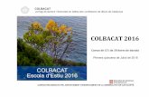 COLBACAT 2016 - llotja.cat · Un cop finalitzat el curs tots els alumnes seran capaços de desenvolupar els seus propis reculls d’exercicis de geometria i plantejar classes formatives