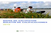 BAHÍA DE GALVESTON BOLETÍN DE CALIFICACIONES 2018 · SECCIÓN GENERAL Acerca de este proyecto El boletín de calificaciones de la Bahía de Galveston es un análisis científico
