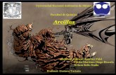 Arcillas - [DePa] Departamento de Programas Audiovisualesdepa.fquim.unam.mx/amyd/archivero/Arcillas_23764.pdf · Universidad Nacional Autónoma de México Facultad de Química Arcillas