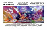 “Las siete Preámbulo celestial trompetas” para las profecías · Capítulo 4, Sección II, Parte 1. “La Primera Trompeta”. Fotografías ilustrativas. Árboles en el país