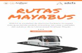 del autobús de la Universidad Anáhuac Mayab esta guía ... · MÁS INFORMACIÓN ADEFA la sociedad de alumnos foráneos te regala esta guía donde podrás encontrar las rutas y paradas