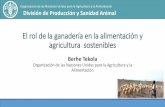 Organización de las Naciones Unidas para la Agricultura y ... fileEl rol de la ganadería en la alimentación y agricultura sostenibles Berhe Tekola Organización de las Naciones