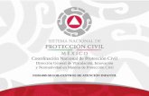 Coordinación Nacional de Protección Civil - gob.mx · En temas de protección civil, primeros auxilios, prevención y combate de incendios, evacuación, búsqueda y rescate Organización
