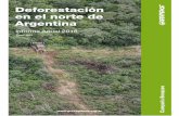 Deforestación en el norte de Argentina - Informe Anual 2018 · 2 Deforestación en el norte de Argentina Informe Anual 2018 Índice Introducción – 3 Metodología utilizada –