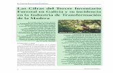 Las Cifras del Tercer Inventario Forestal en Galicia y su ... · Las fortalezas y debilidades del sector de la industria de la madera están claramente definidas y en estos momentos