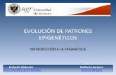 EVOLUCIÓN DE PATRONES EPIGENÉTICOS - bioinfo2.ugr.esf3nEpigen%e9tica.pdf · • Teoría evolutiva de las especies (Selección Natural) • Teoría neutralista (Deriva genética)