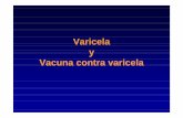Varicela y Vacuna contra varicela - uninet.edu fileVaricela – La enfermedad •Pródromo 1-2 días (fiebre, malestar) seguido de una erupción cutánea vesicular, pruriginosa, generalizada,