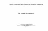ESTRUCTURAS COMPLEMENTARIAS DE UN SISTEMA DE … B826.pdf · estructuras complementarias de un sistema de lagunas de estabilizaciÓn para el tratamiento de aguas residuales willis