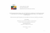 Universidad de Chile Escuela de Derecho RESPONSABILIDAD ...perso.unifr.ch/derechopenal/assets/files/obrasportales/op_20160608_02.pdf · 3.4.1 Sistemas de imputación de responsabilidad