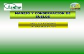 MANEJO Y CONSERVACION DE SUELOS - crsps.netcrsps.net/wp-content/downloads/SANREM VT/Inventoried 6.14/11-2011-5-96.pdf · CULTIVOS EN FAJAS . Son hileras de plantas perennes y de crecimiento