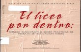 SANTIAGO, ENERO 1995 - etnografiaescolar.cl · estableció los principios orientadores y definió los componentes, líneas de acción y estrategias de implementación del Programa