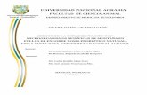 UNIVERSIDAD NACIONAL AGRARIA - repositorio.una.edu.nirepositorio.una.edu.ni/3149/1/tnq52l864.pdf · microorganismos benéficos de montaña como probiótico natural en pollos de engorde